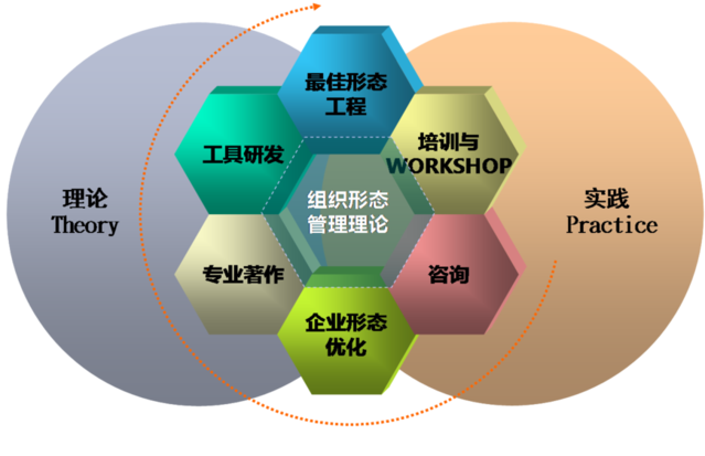 组织形态管理 中国企业变革的破局之道